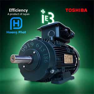 Động cơ điện Toshiba IE3