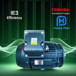 Động Cơ Điện Toshiba IE3 Mặt Bích 0.75kw – 150kw